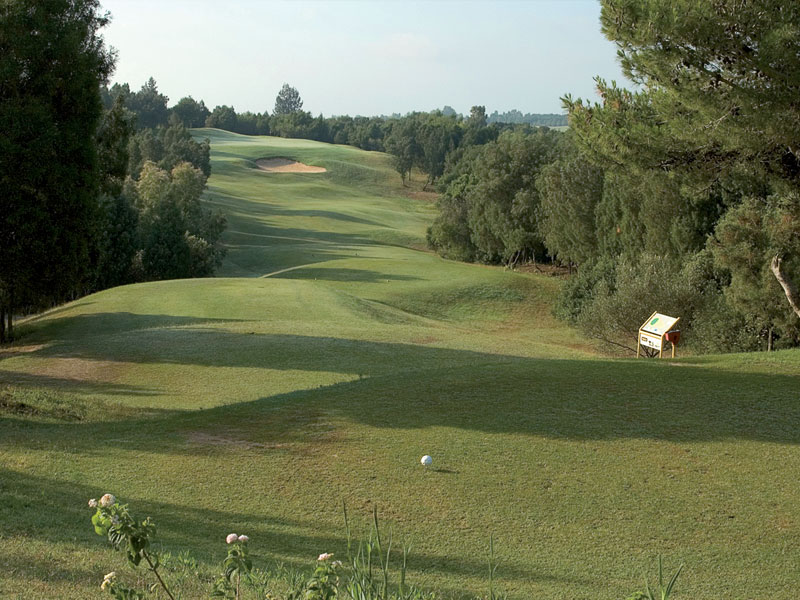 The Sindbad